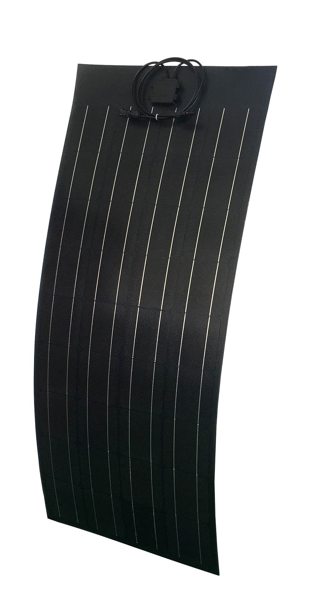 Plants: image 1 0f 4 thumb